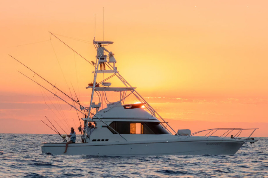 Things To Do https://axisbe3.icnd-cdn.com/images/thingstodo/bountyhunter.jpg