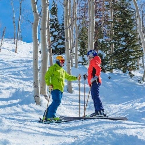 skiers on groomed slopes and among trees